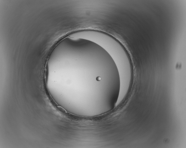 X0000112530577200908311424