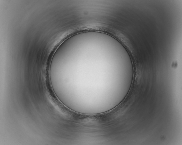 X0000112530578200908311424