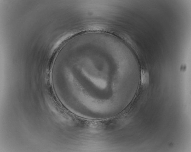 X0000112530579200908311424