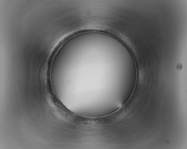 X0000112530580200908311424