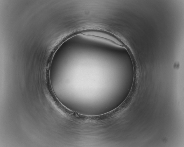 X0000112530581200908311424
