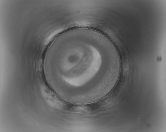 X0000112530583200908311424