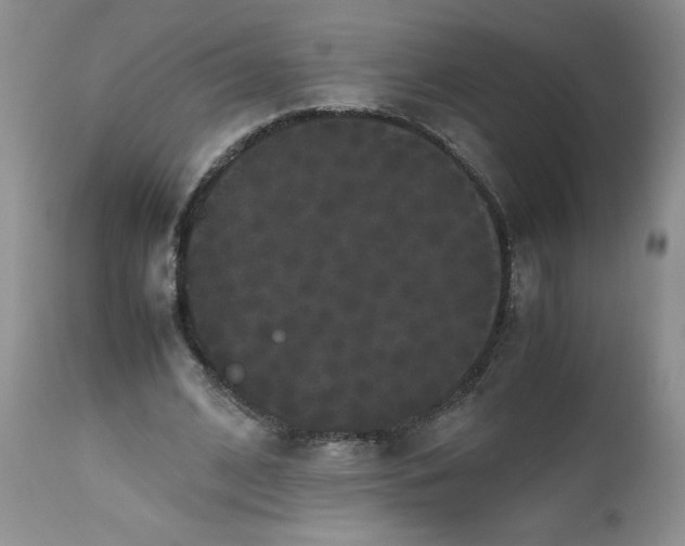 X0000112530584200908311424