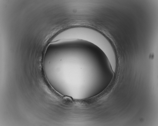 X0000112530585200908311424