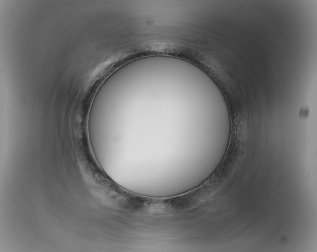 X0000112530587200908311424