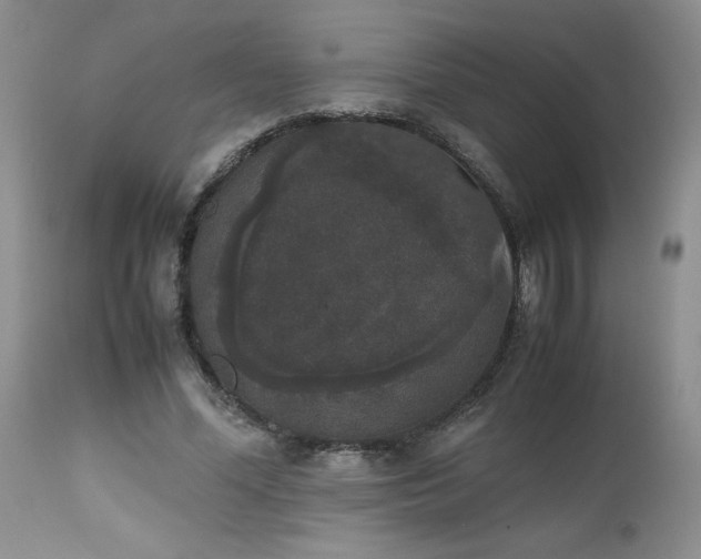X0000112530588200908311424