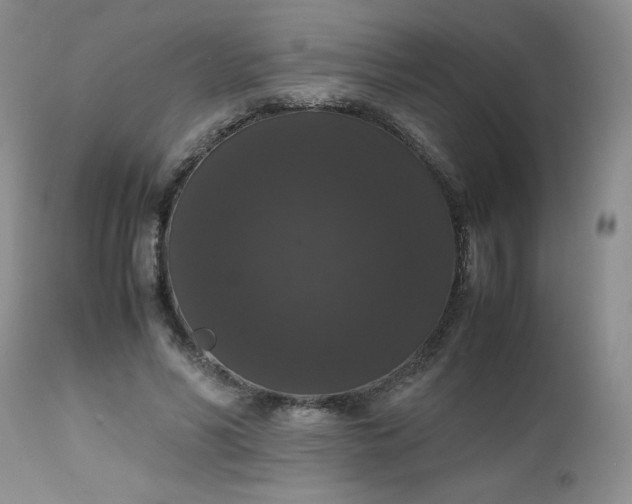 X0000112530590200908311424