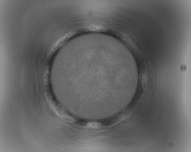 X0000112530591200908311424
