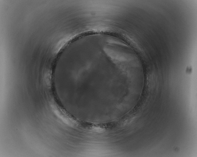 X0000112530592200908311424