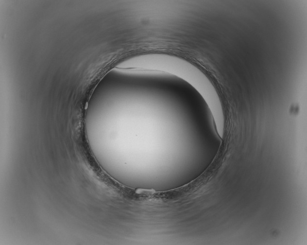 X0000112530593200908311424