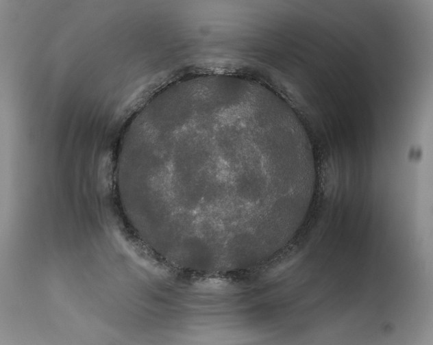 X0000112530594200908311424