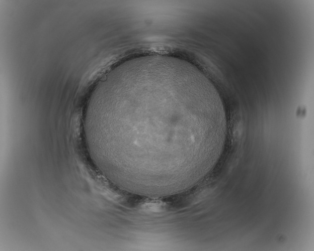 X0000112530595200908311424