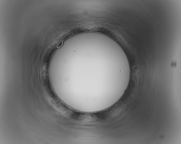 X0000112530597200908311424