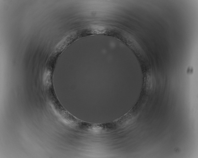 X0000112530598200908311424