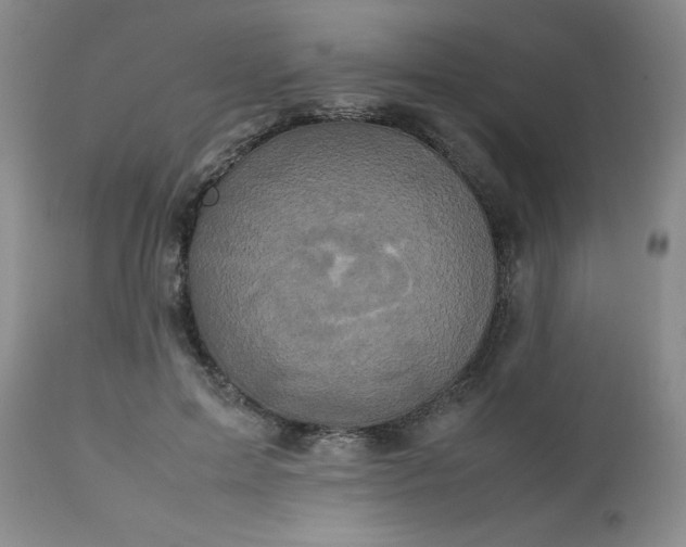 X0000112530599200908311424