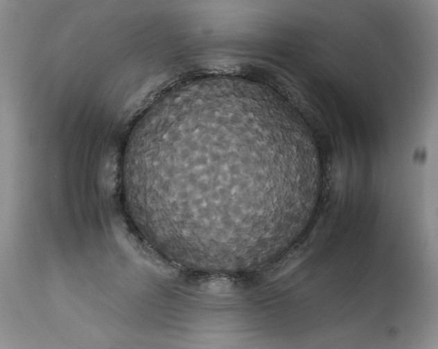X0000112530600200908311424