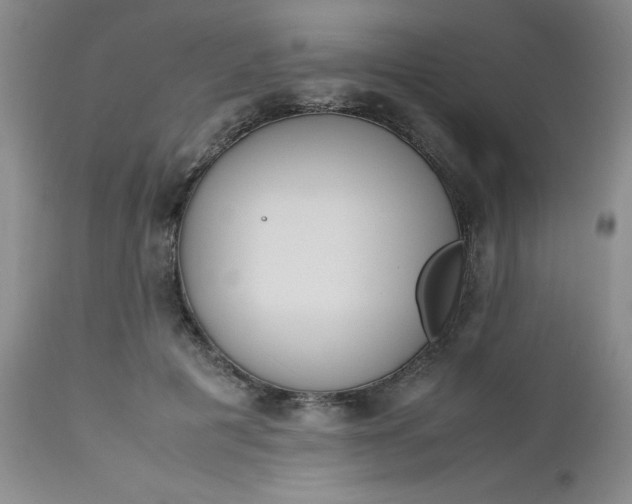 X0000112530601200908311424