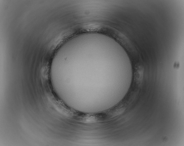 X0000112530604200908311424
