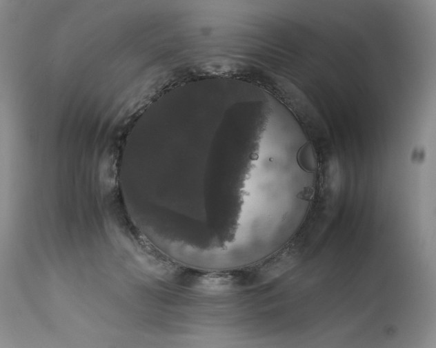 X0000112530606200908311424