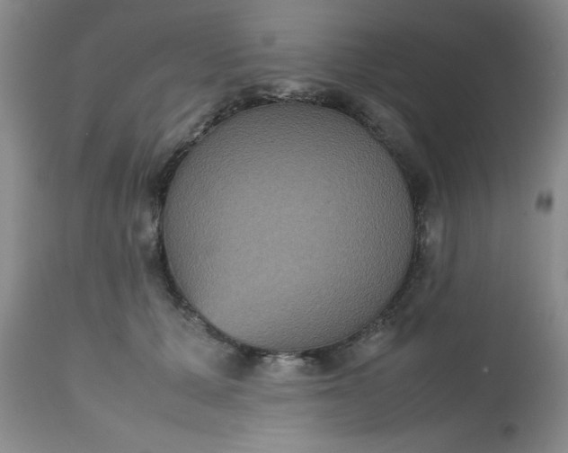 X0000112530607200908311424