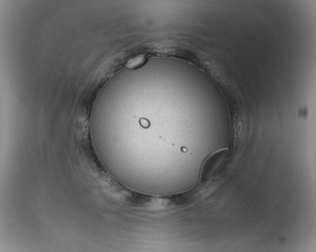 X0000112530609200908311424