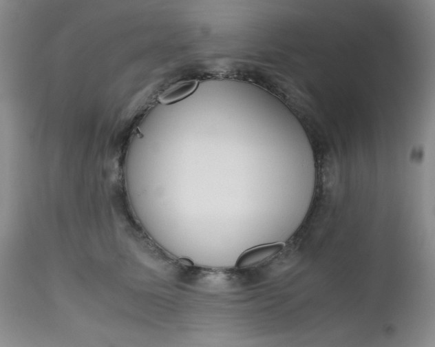 X0000112530611200908311424