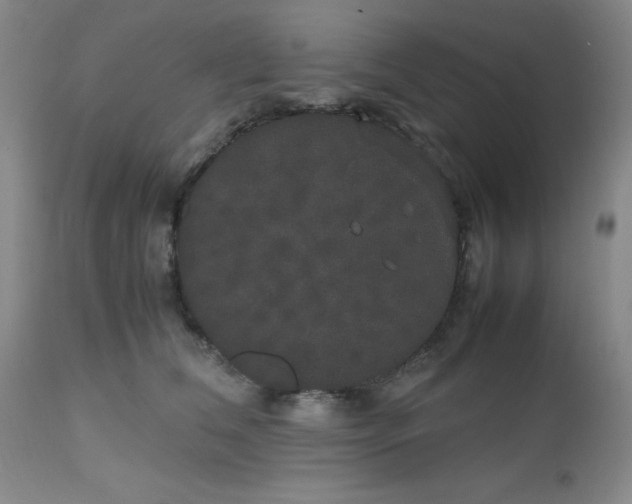 X0000112530612200908311424