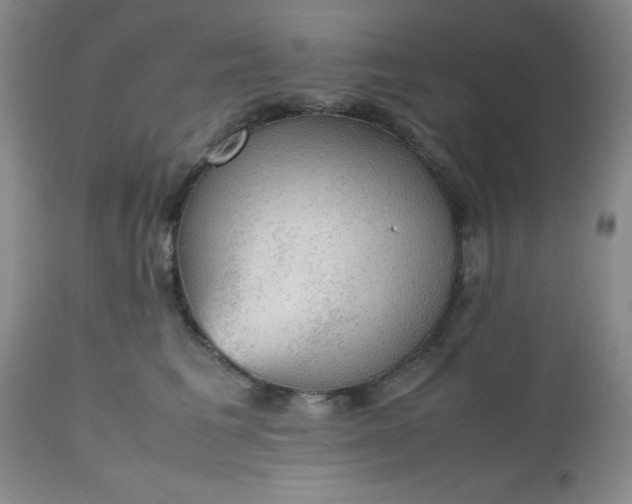 X0000112530613200908311424