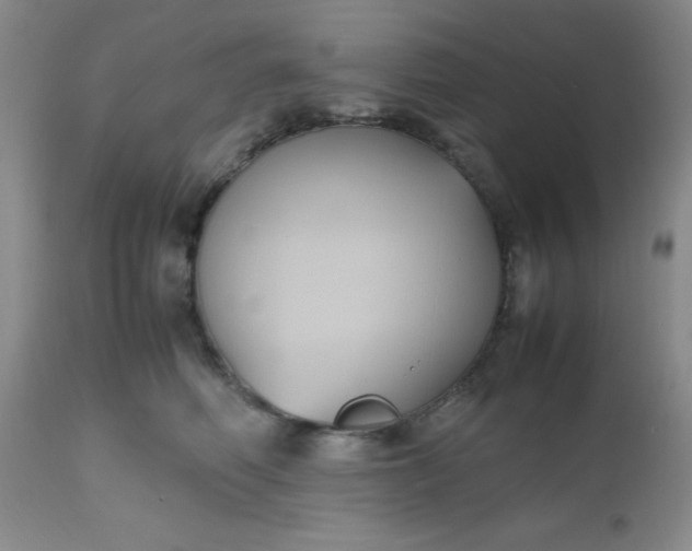 X0000112530614200908311424