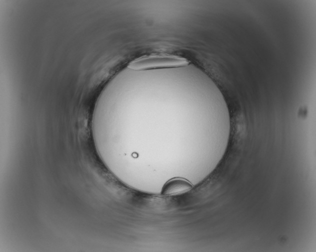 X0000112530615200908311424