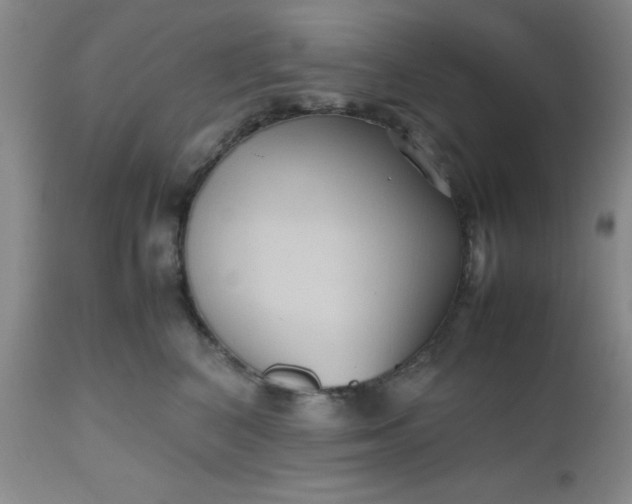X0000112530616200908311424