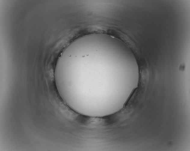 X0000112530617200908311424