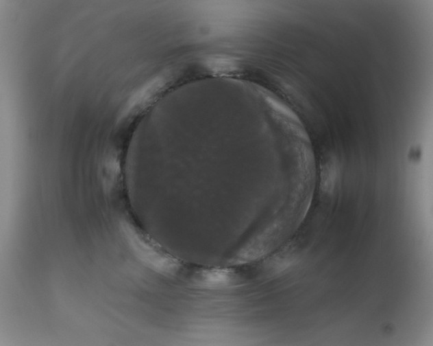 X0000112530618200908311424