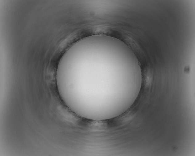 X0000112530619200908311424