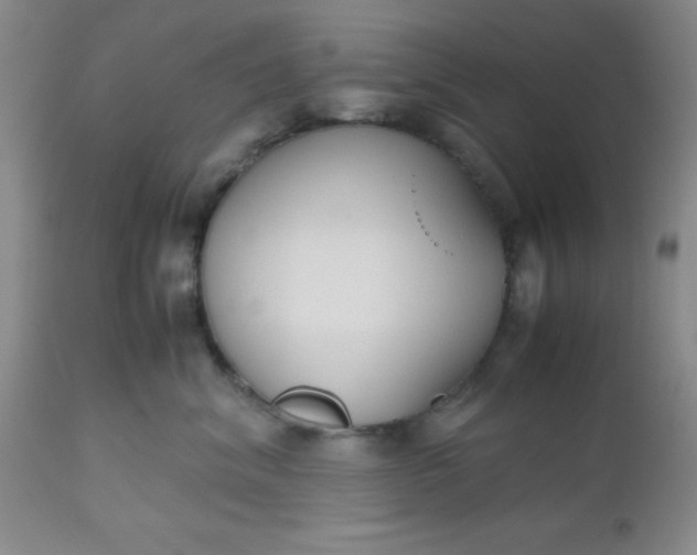 X0000112530620200908311424