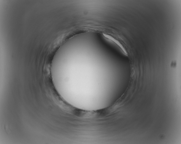 X0000112530621200908311424