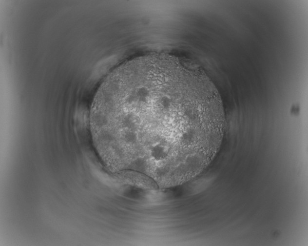 X0000112530623200908311424