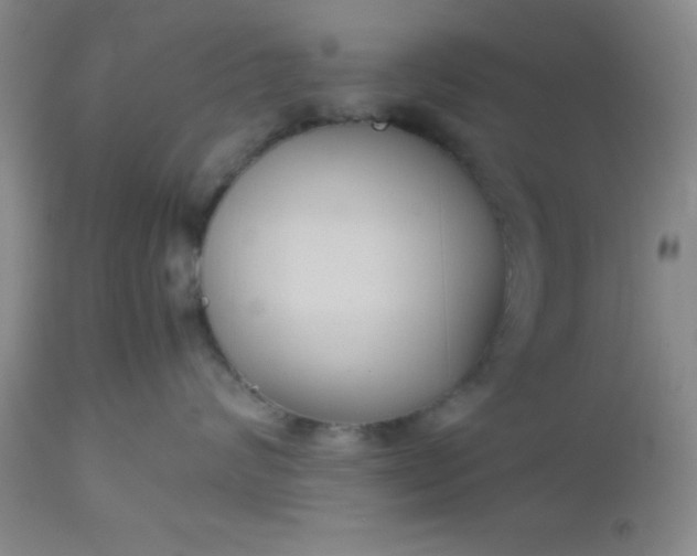 X0000112530624200908311424