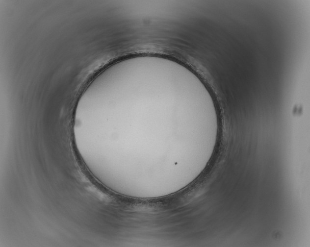 X0000112530625200908311423