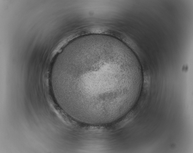 X0000112530626200908311423
