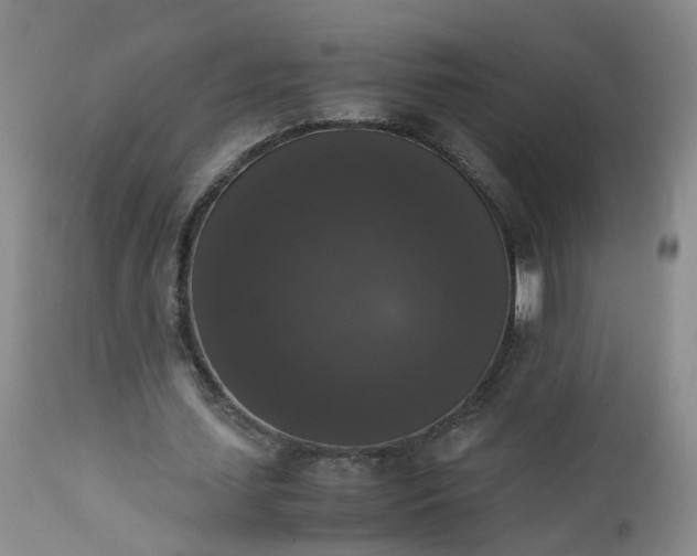 X0000112530627200908311423