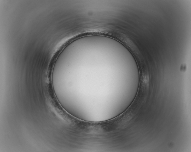 X0000112530628200908311423