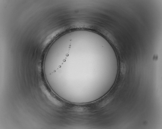 X0000112530629200908311423