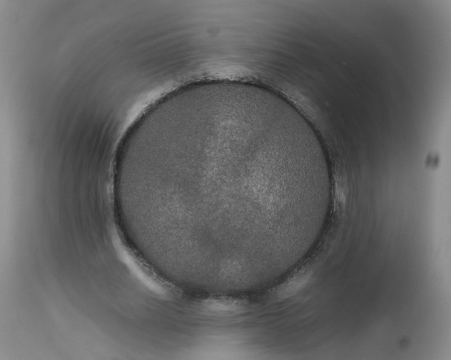 X0000112530630200908311423