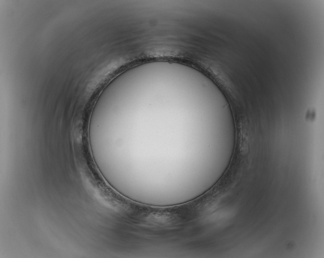 X0000112530631200908311423