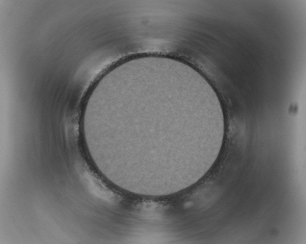 X0000112530632200908311423
