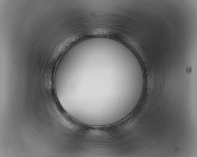 X0000112530633200908311423