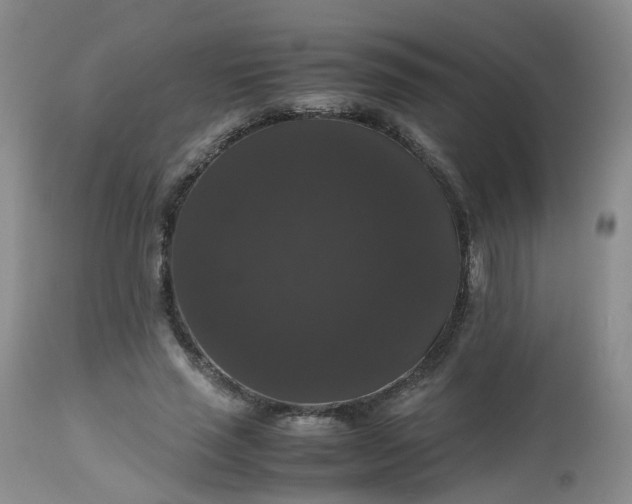 X0000112530637200908311423