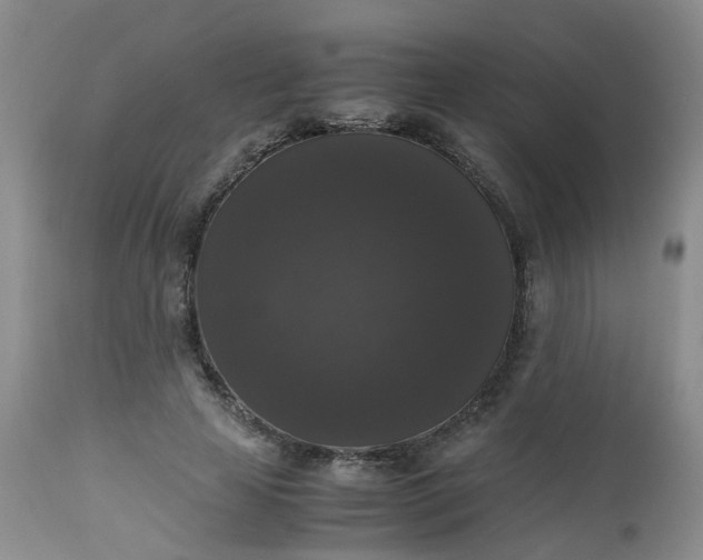 X0000112530641200908311423