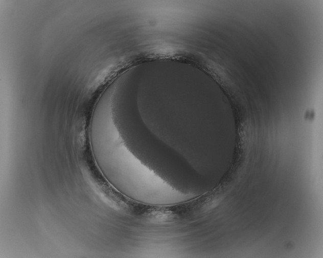 X0000112530642200908311423